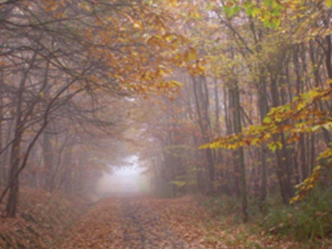 Есента в мен