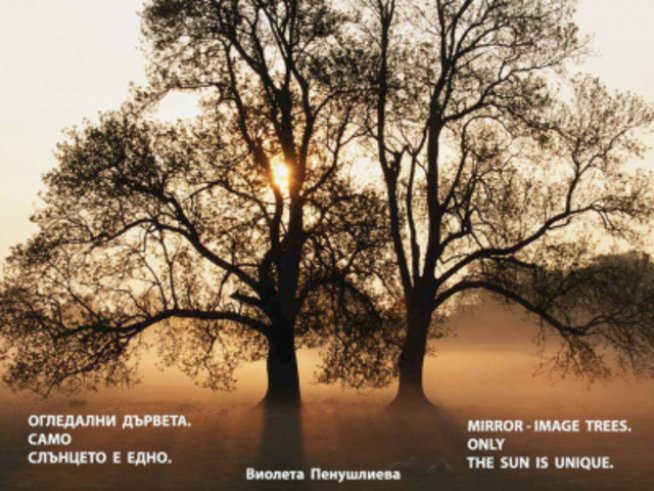 Бонзай, икебана и хайку за дните на японската култура