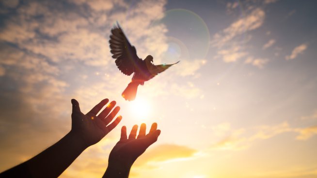 Какво се прави на Софинден? Снимка: istock