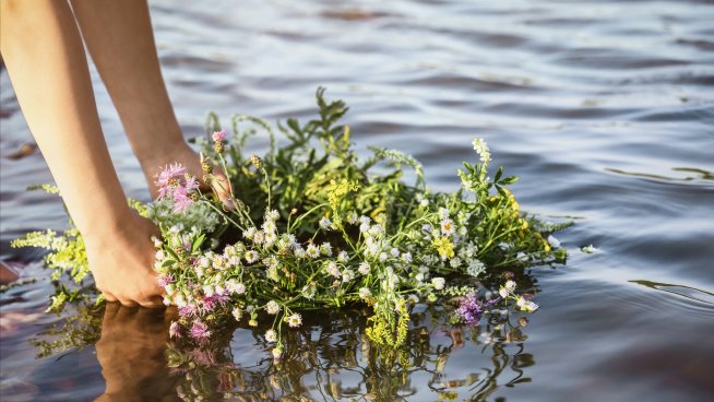 Снимка: iStock