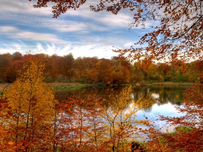 Снимка: Sxc.hu