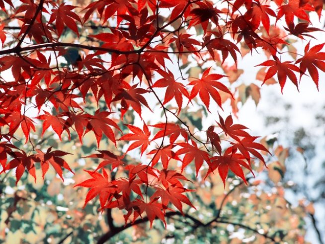 Снимка: Sxc.hu