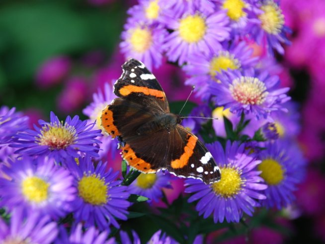 Снимка: Sxc.hu