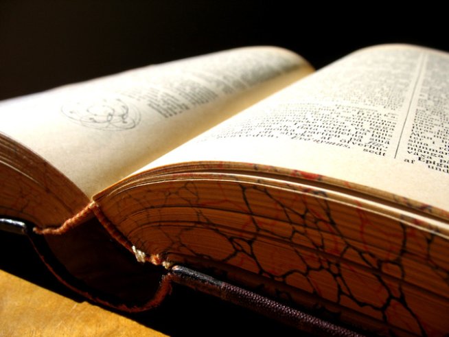 Снимка: freeimages.com