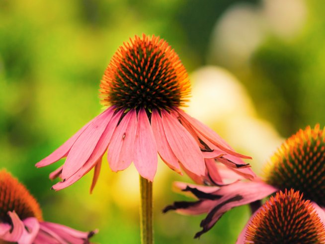 Снимка: Sxc.hu