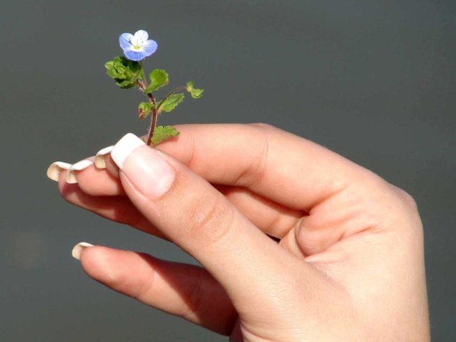 Снимка: Sxc.hu