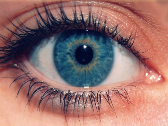 Снимка: Sxc.hu