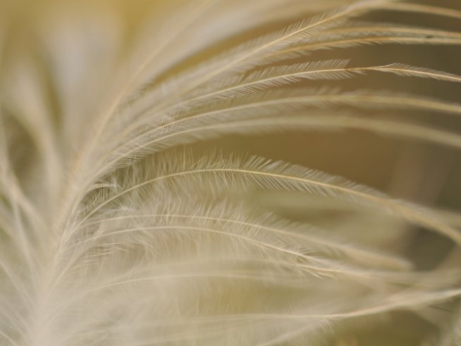 Снимка: Sxc.hu