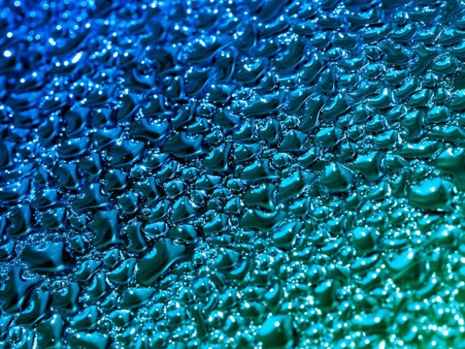 Снимка: Sxc.hu