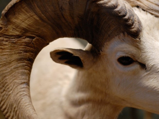 Снимка: Sxc.hu