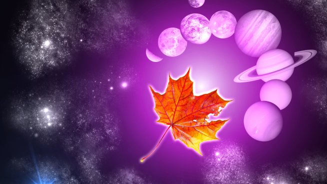 4 зодии, за които ноември ще е невероятен. Снимка: istock