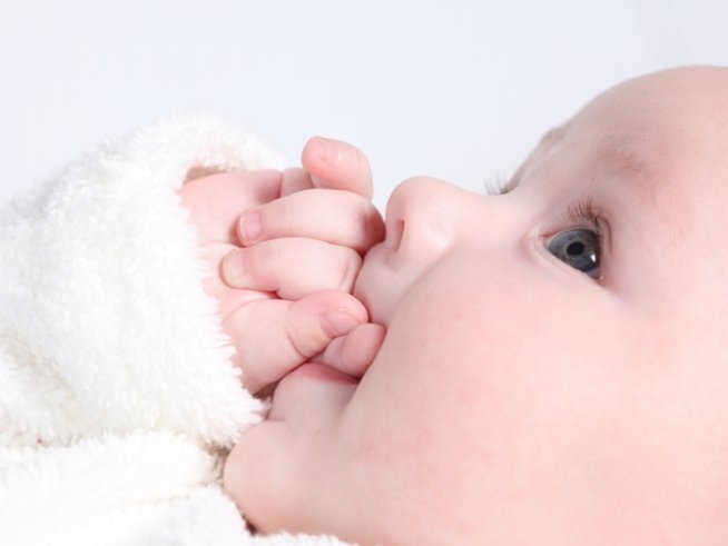 Снимка: Photl.com