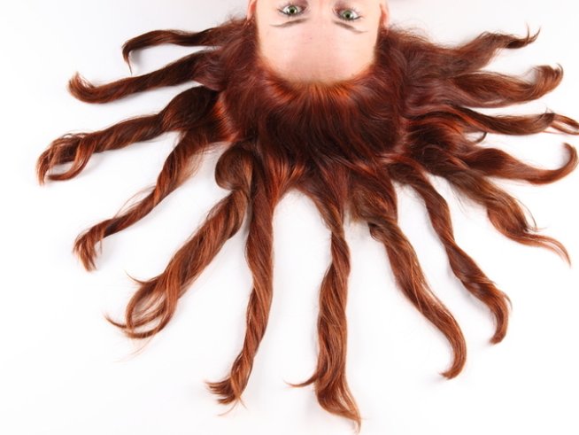 Снимка: photl.com