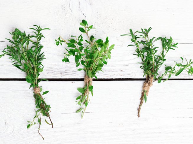 Снимка: istock