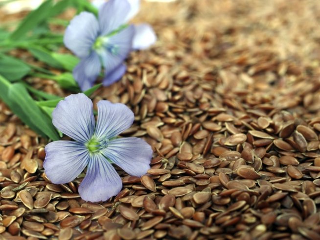 Снимка: Thinkstock