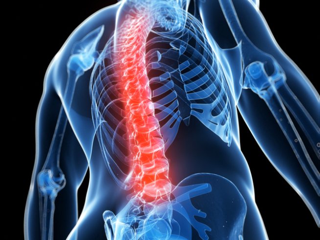 Снимка: Thinkstock