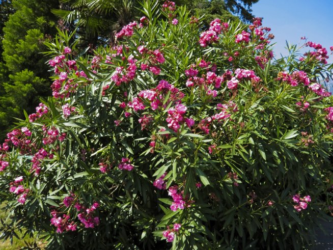 Снимка: Thinkstock