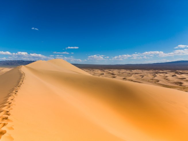 Снимка: istock