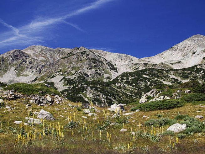 Снимка: wikimedia commons