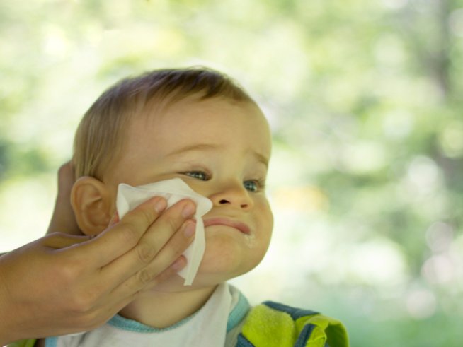 Снимка: istock