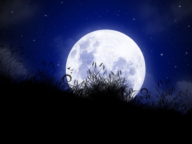 Снимка: Sxc.hu