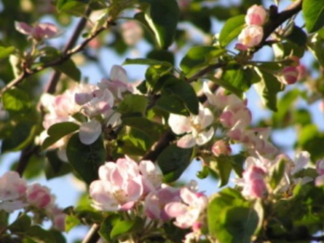 7 начина да надвием пролетната авитаминоза