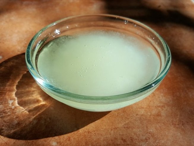 Снимка: pixabay