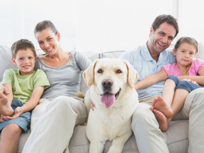 Снимка: thinkstock