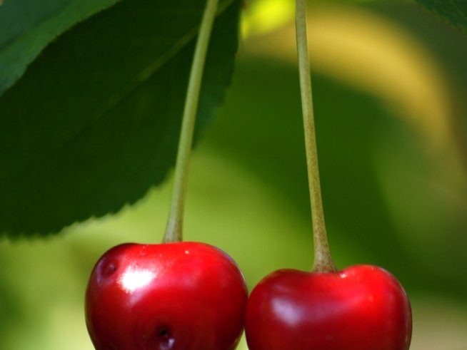 Снимка: Sxc.hu