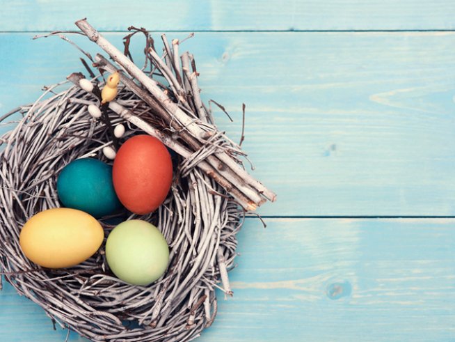 Снимка: istock