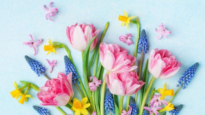 Честит имен ден на Габриела и Габриел! Снимка: istock