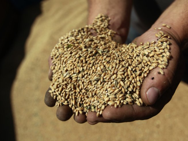 Снимка: Reuters