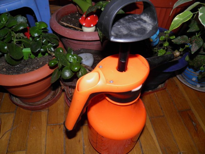 Снимка: Вергиния Генова