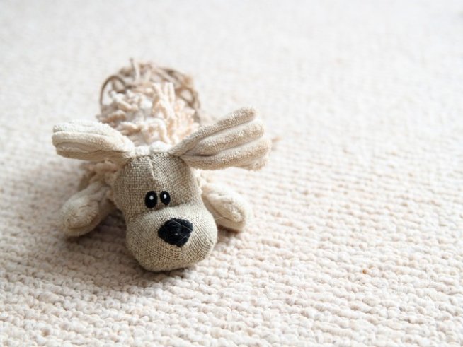 Снимка: Sxc.hu