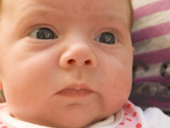 Снимка: Sxc.hu