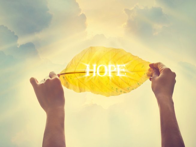 Снимка: istock