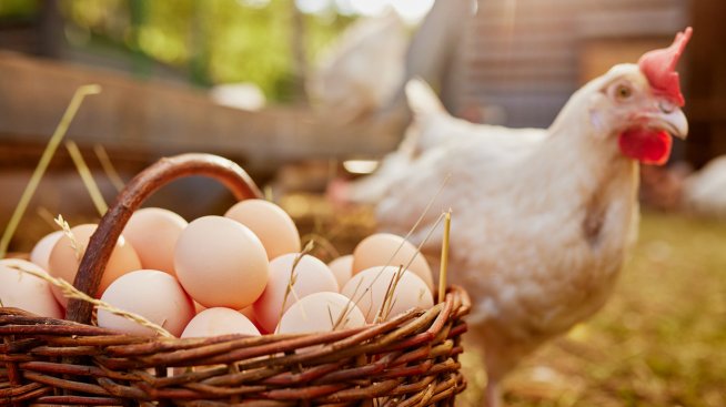 Снимка: iStock