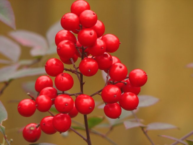 Снимка: Sxc.hu