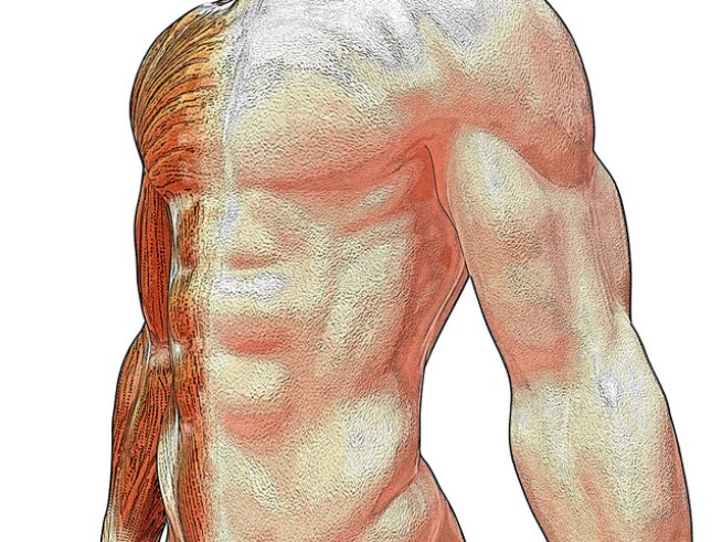 Снимка: Sxc.hu