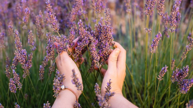 Еньовден е на 24 юни.Снимка: iStock