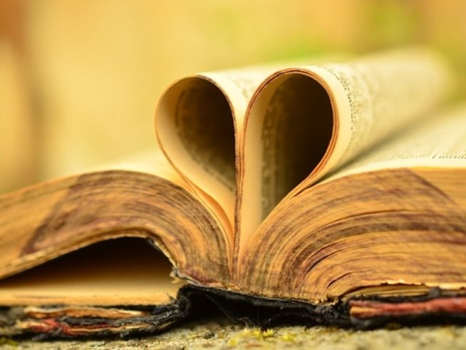 Снимка: pixabay