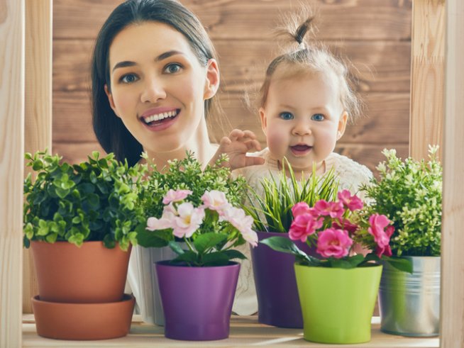 Снимка: istock