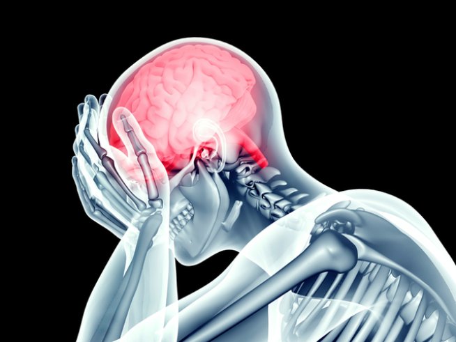 Снимка: istock