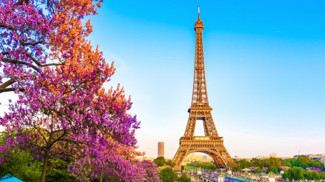 Снимка: iStock