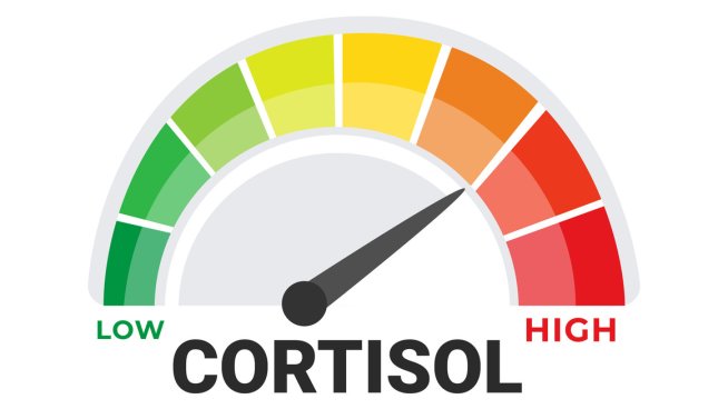 5 хитри начина да понижите кортизола. Снимка: istock