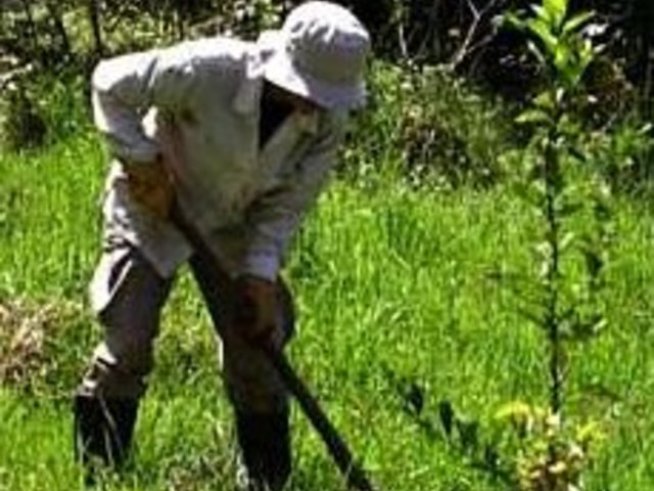 Покана за залесяване в Бургас