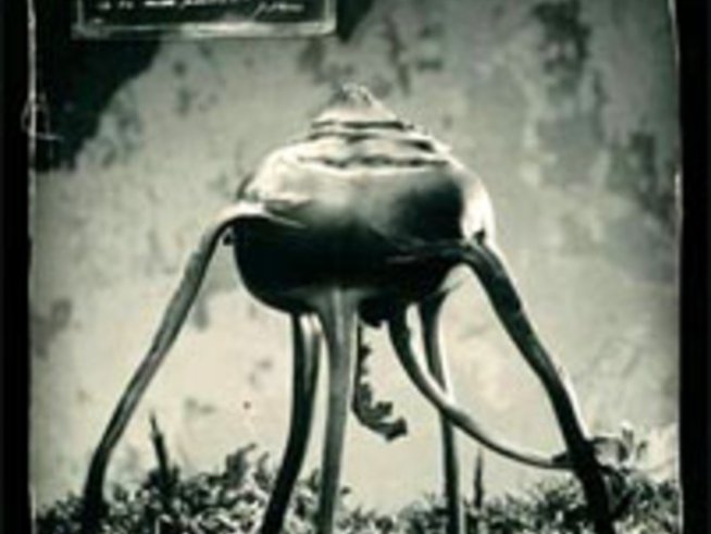 “Натура магика” – фотографска изложба в Чешкия център