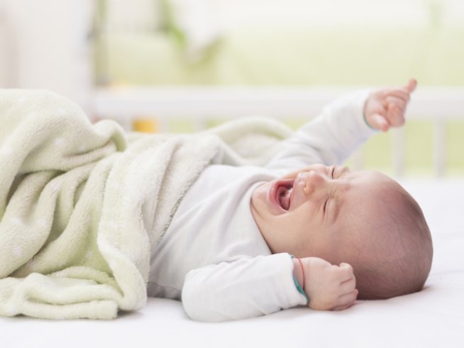 Снимка: iStock