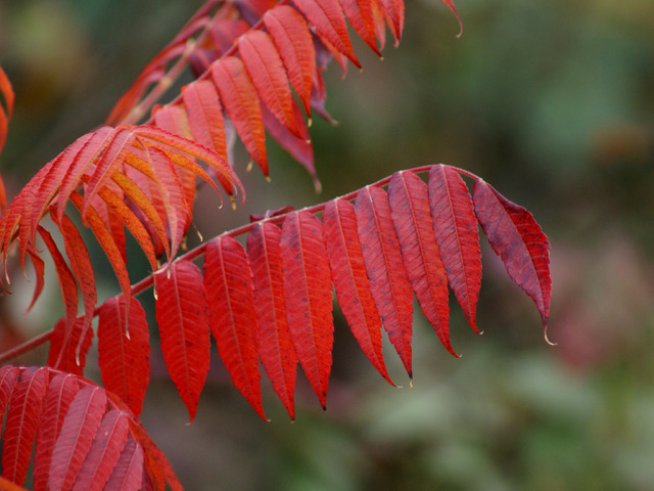 Снимка: Sxc.hu