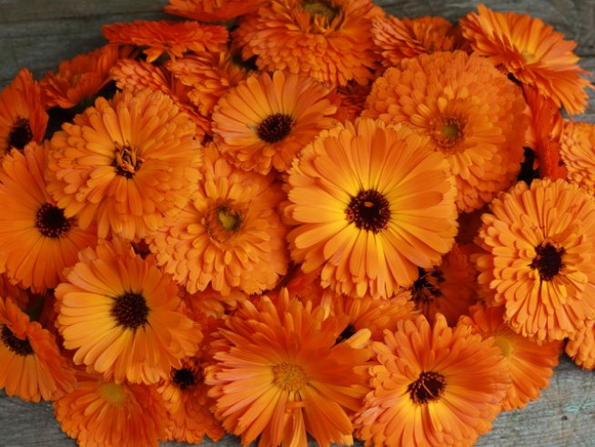 Снимка: Sxc.hu